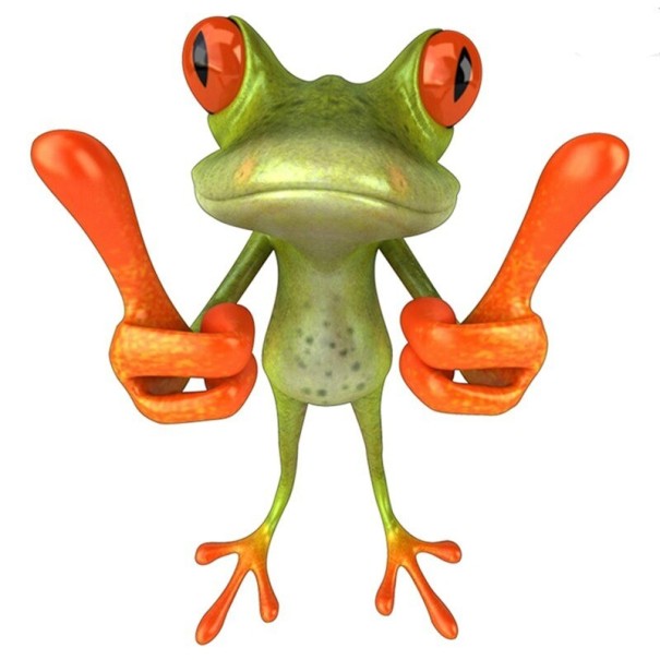 Frosch-Autoaufkleber 4