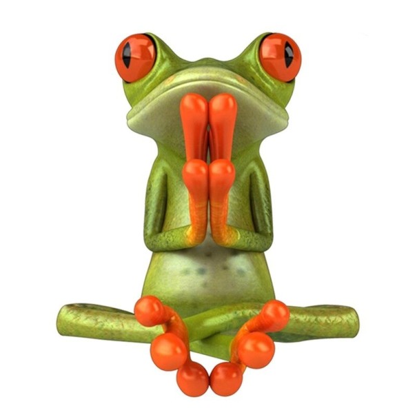 Frosch-Autoaufkleber 8