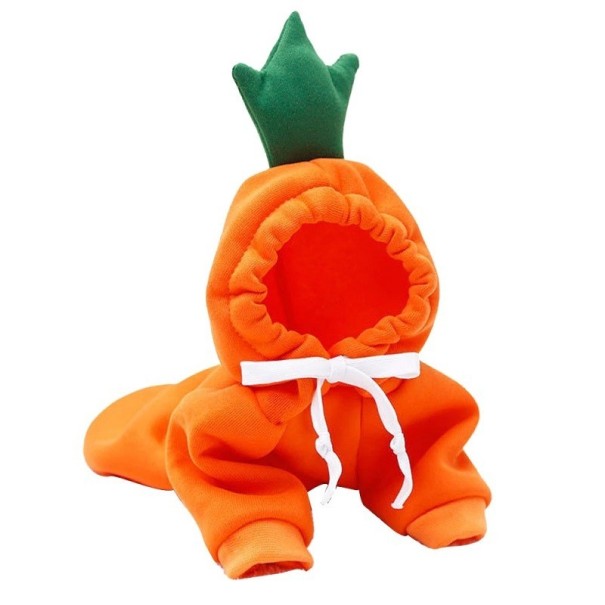 Fruit/groente hondenkostuum M 1