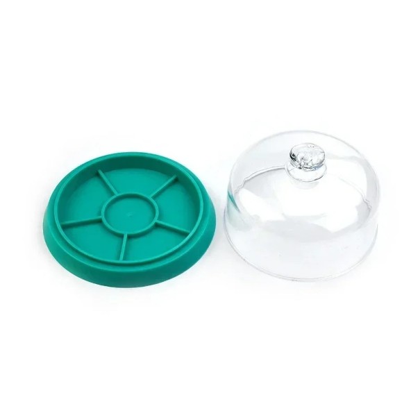 Funda guardapolvo para reloj con 6 compartimentos Funda guardapolvo con tapa transparente y almohadilla de plástico Protección de los componentes del reloj durante las reparaciones verde
