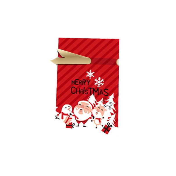 Geanta cadou de Craciun 12 x 17,7 cm 5