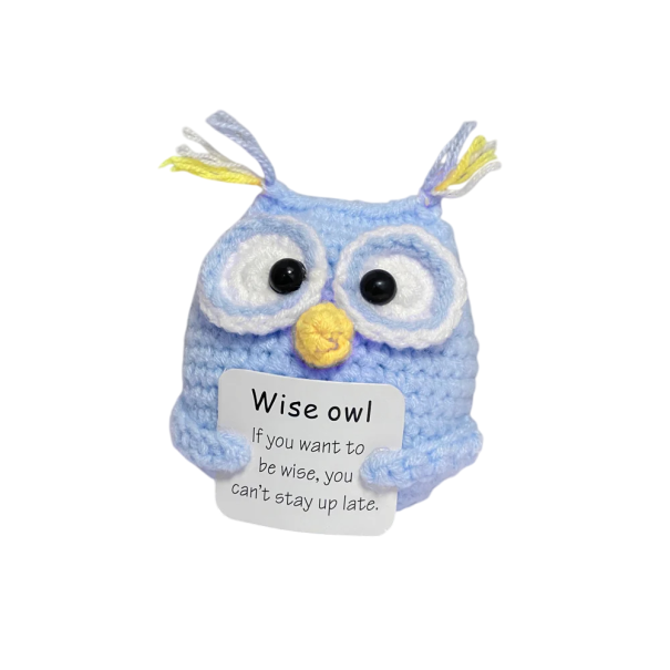 Gehaakte uil met een positieve inscriptie Handgemaakte decoratie Amulet voor vreugde en geluk Talisman van positieve energie Origineel cadeau blauw