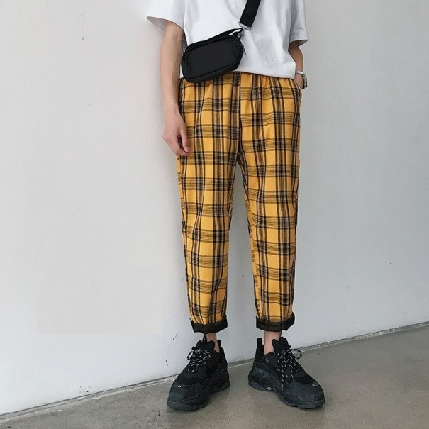 Geruite broek voor heren L 3