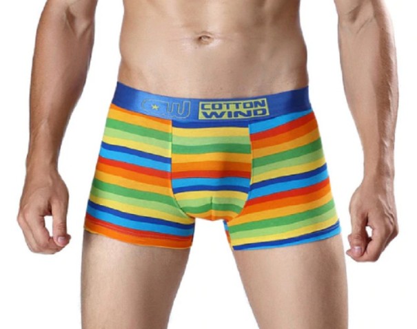 Gestreepte boxershort voor heren A2432 XS