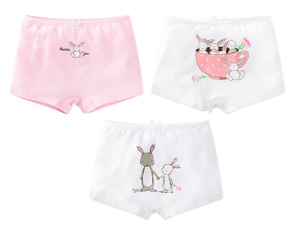 Girls' Shorts Knickers with Animal Prints - 3 Pack 3-4 years 1