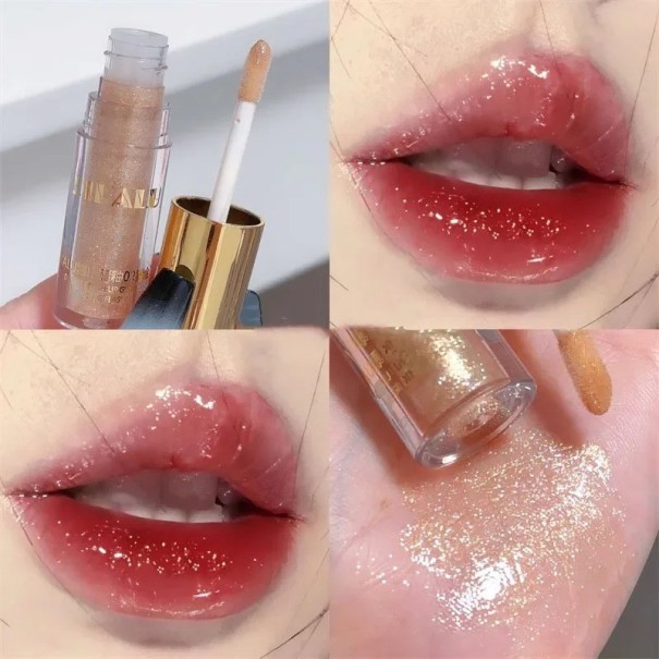 Gloss à lèvres scintillant longue durée Gloss hydratant à lèvres Gloss nourrissant et soignant 2