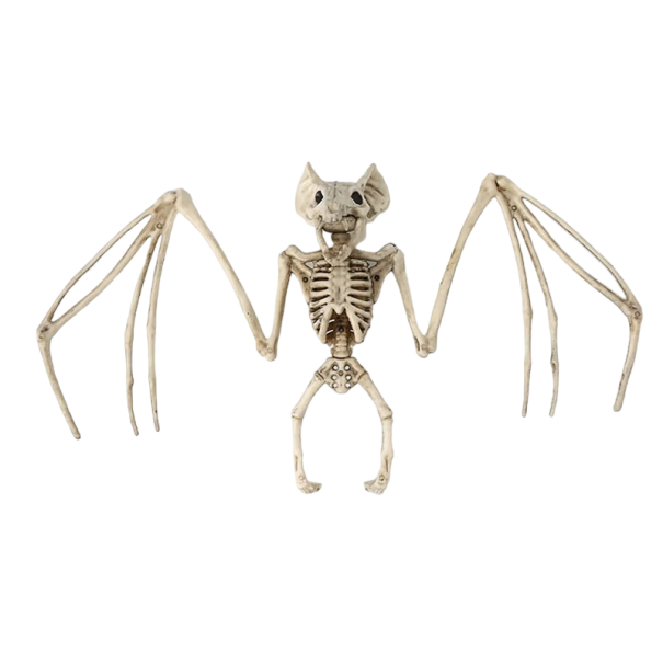 Griezelige Halloween-decoratie, nep vleermuisskelet, kunstmatig vleermuisskelet om op te hangen. Halloween-skeletdecoratie, hangend vleermuisskelet 29 x 17 cm. 1