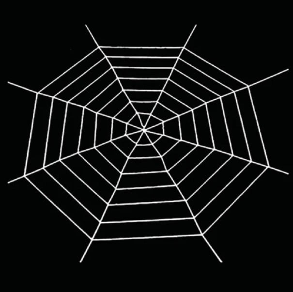 Grote katoenen spinnenweb Rekbare web voor thuisdecoratie Halloween decoratie 1,5 m wit