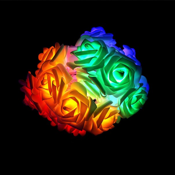 Guirlande lumineuse LED avec des roses multicolore