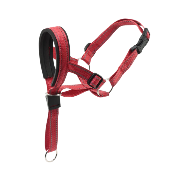 Ham pentru câini din nylon, mărimea S Circumferința botului 19,6 - 24,6 cm Circumferința gâtului 27,4 - 33,5 cm Botniță ajustabilă, moale și respirabilă pentru câini roșu