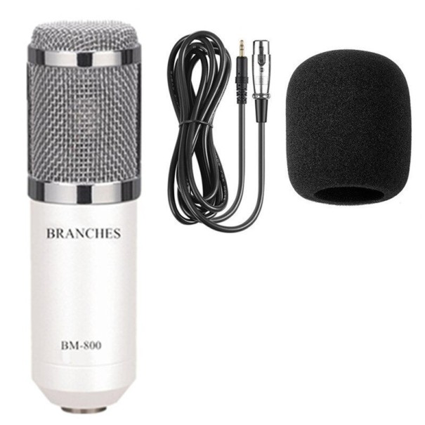 Handheld microfoon wit