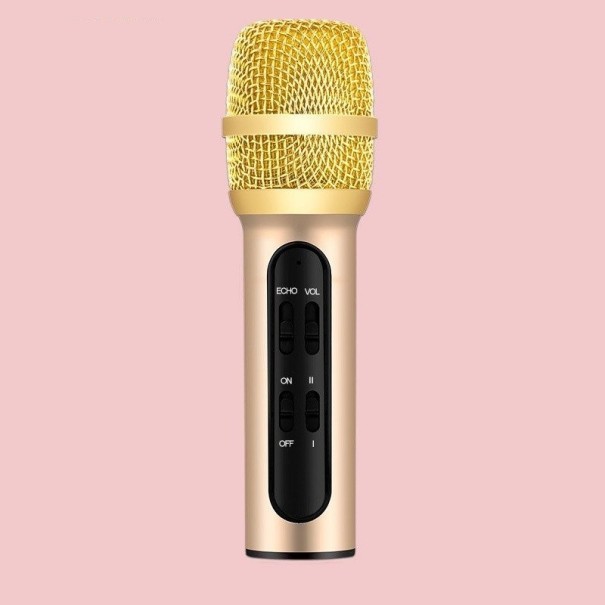 Handmicrofoon met accessoires goud