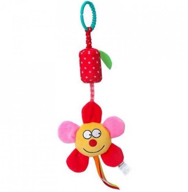 Hanging Rattle A1607 1