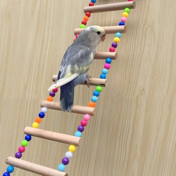 Hangladder voor vogels