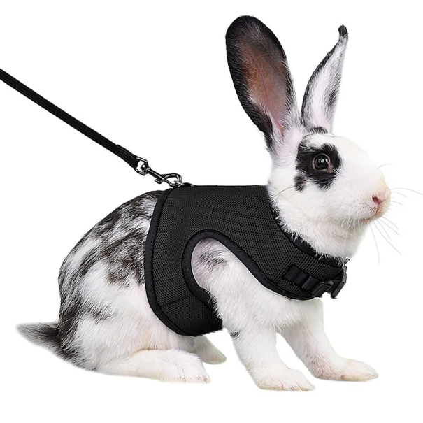 Harnais en maille respirante avec laisse pour furets, lapins et cobayes Harnais réglable pour animaux de compagnie de 1,5 à 3 kg Confort de port noir