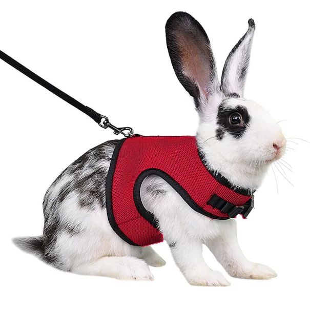 Harnais en mesh respirant avec laisse pour furets, cobayes et lapins de 0,4 à 0,8 kg Harnais doux réglable pour petits animaux domestiques rouge