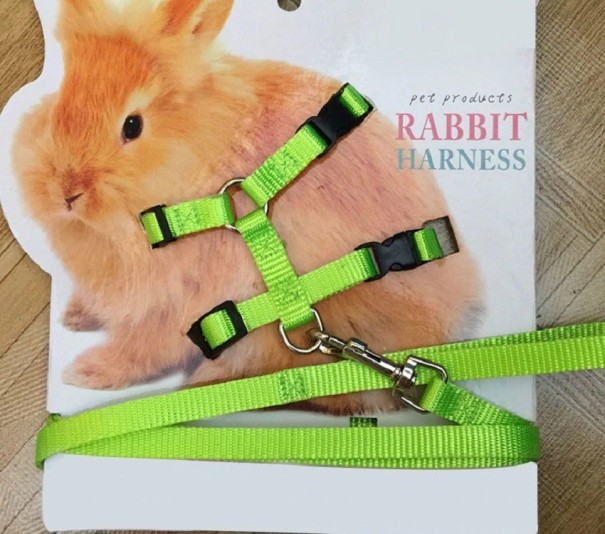Harnais pour lapins vert
