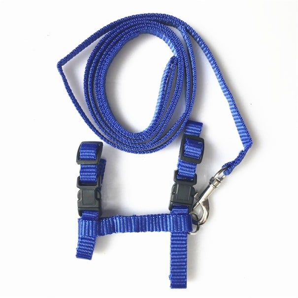 Harnais réglable pour chats bleu