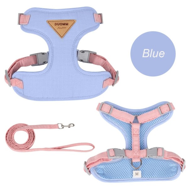 Harnais réglable pour chats et petits chiens S Harnais respirant en mesh avec laisse Ensemble extérieur sécurisé bleu