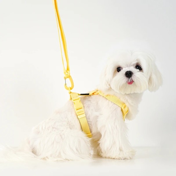 Harnais réglable pour chiens avec laisse de 85-145 cm Tour de cou 38-58 cm et tour de corps 36-50 cm Sangles avec boucles coulissantes 1