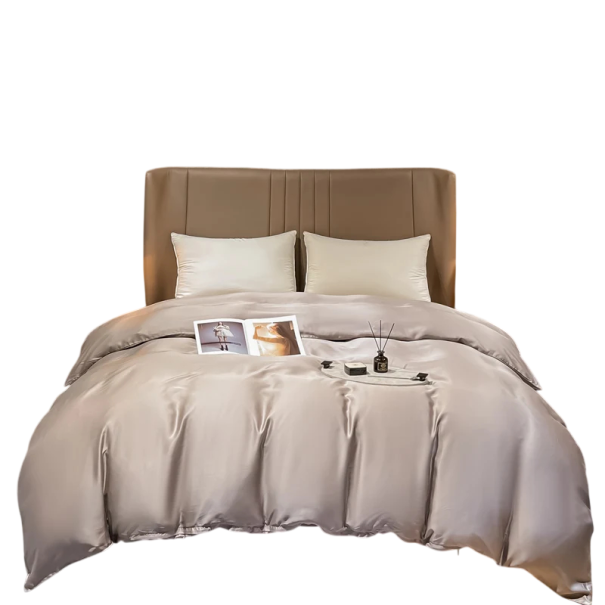 Hedvábny povlak na prikrývku 200 x 200 cm Morušové hedvábie Jednobarevný hladký povlak na prikrývku Příjemný prodyšný materiál béžová