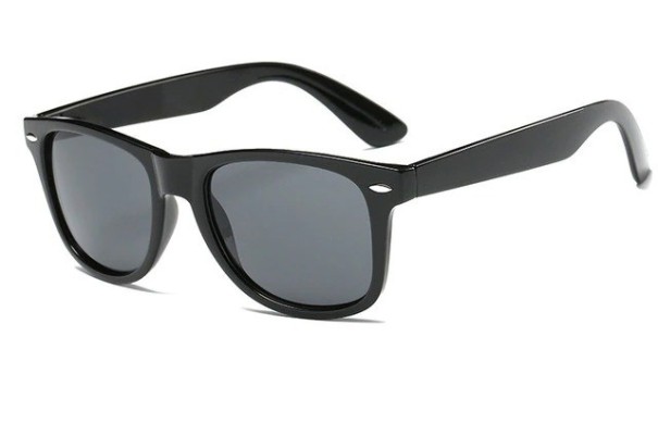 Heren zonnebril E2027 1