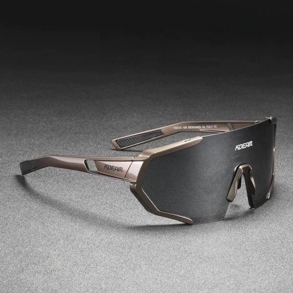 Heren zonnebril E2055