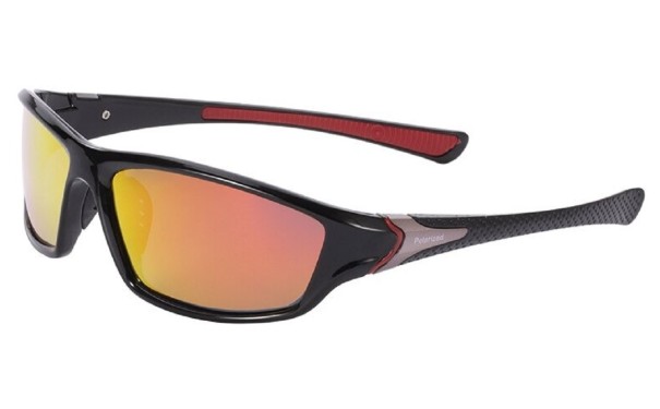 Heren zonnebril E2075 4