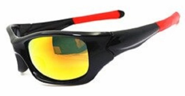 Heren zonnebril E2237 4