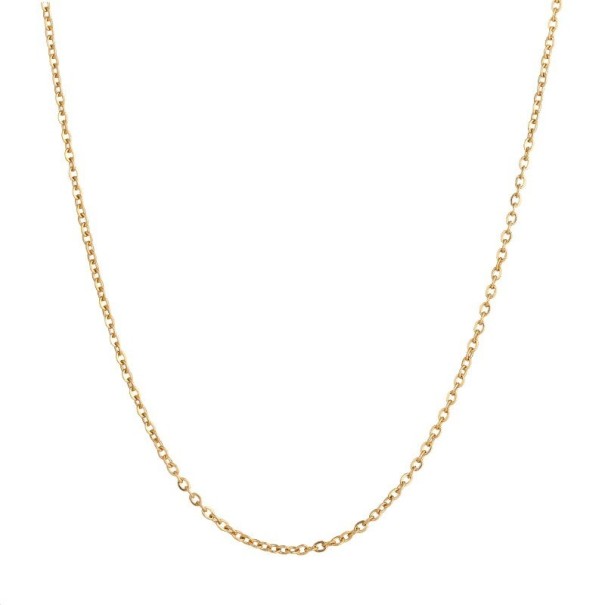 Herenketting D239 goud 50 cm