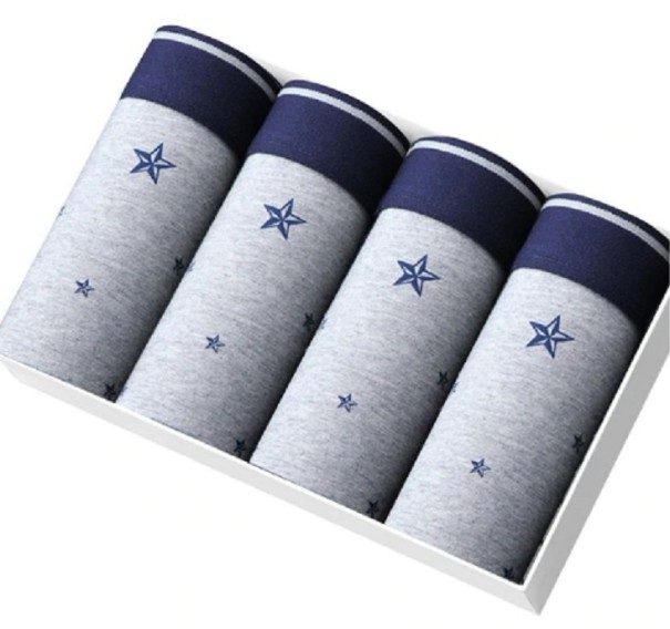 Herrboxare Erik - 4 st