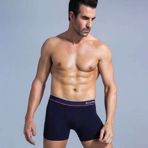 Herreboksershorts Fred L 2