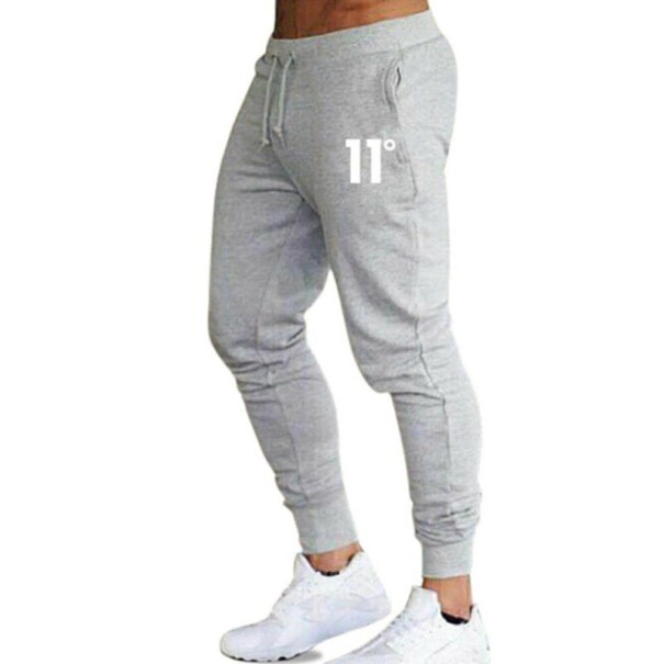 Herren-Jogginghose F1360 grau M