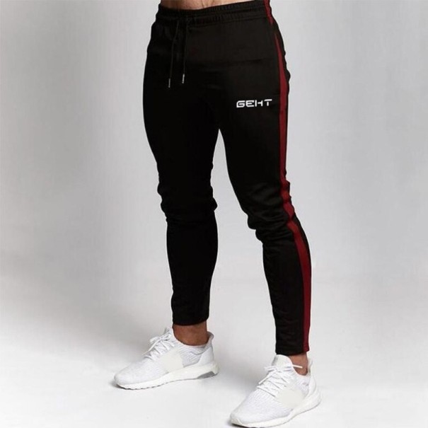 Herren-Jogginghose F1371 L 4