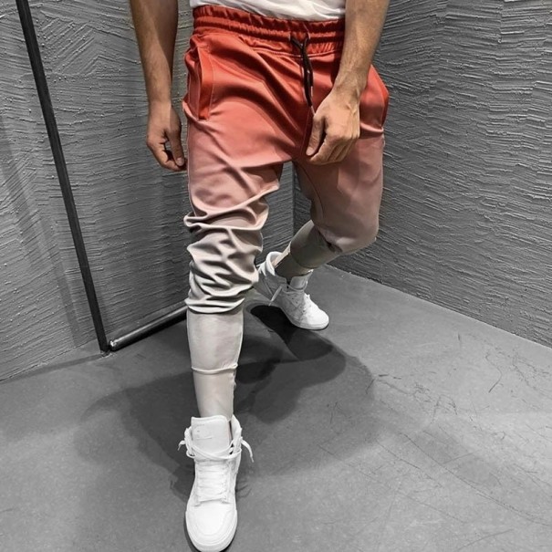 Herren-Jogginghose F1629 grau M