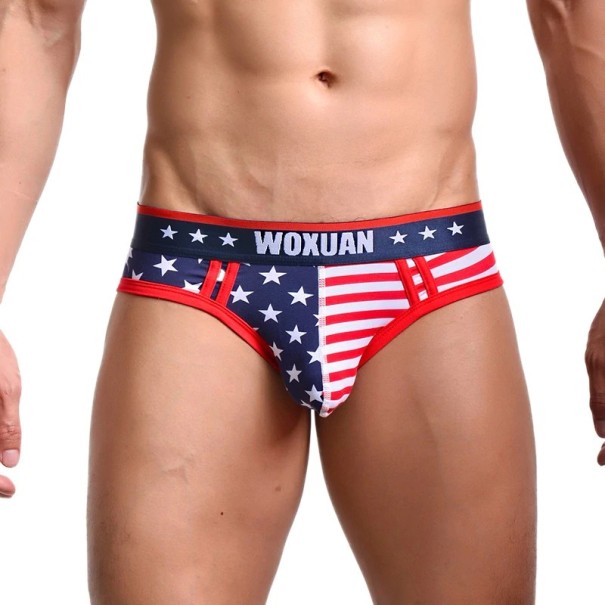 Herren-Slip USA L 1