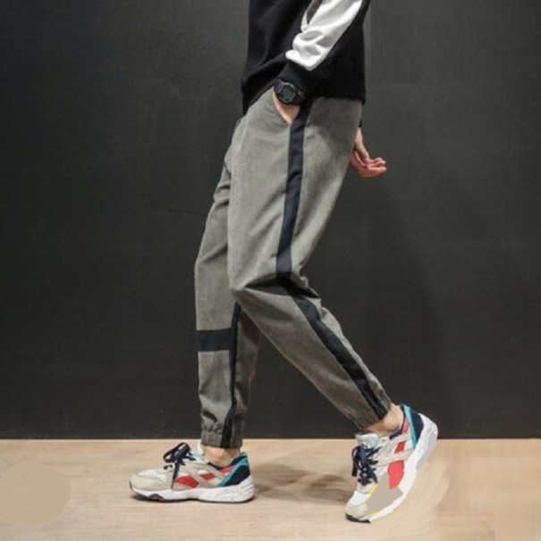 Herrenhose mit Streifen F1510 grau M