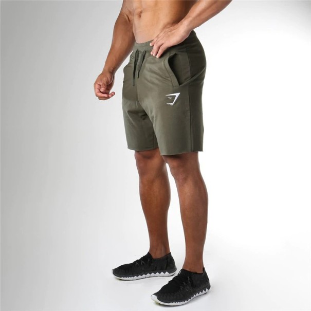 Herrenshorts A1031 armeegrün M