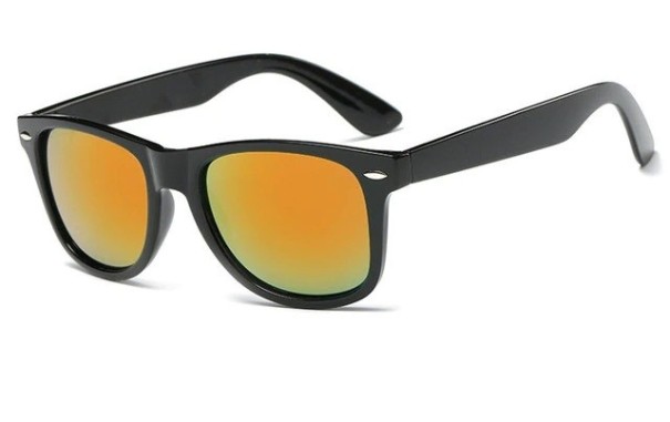 Herrensonnenbrille E2027 5