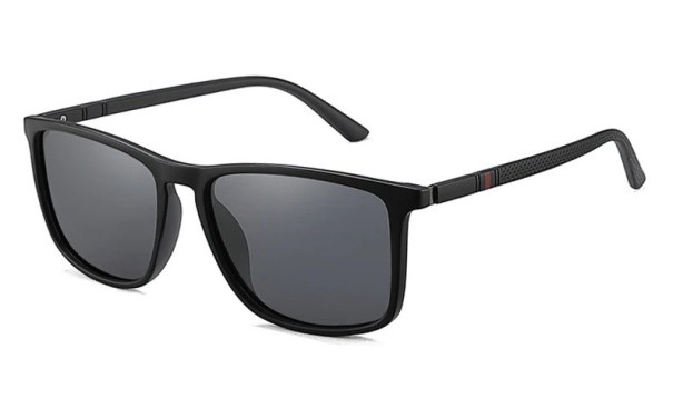 Herrensonnenbrille E2039 2