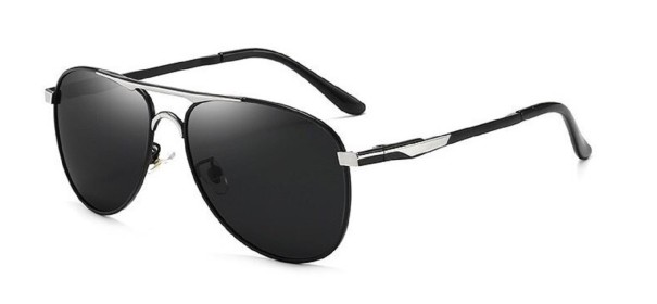 Herrensonnenbrille E2079 silbern