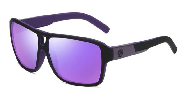 Herrensonnenbrille E2231 4