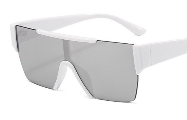 Herresolbriller E2176 8