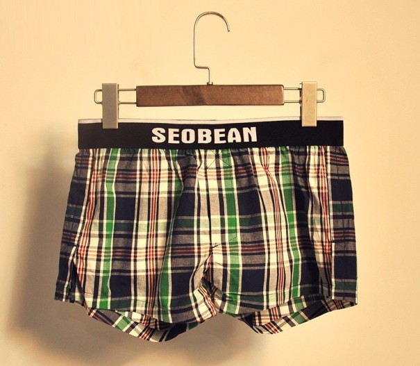 Herrhemma shorts L 2