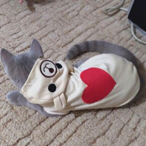 Hjärtformad outfit för katter och hundar
