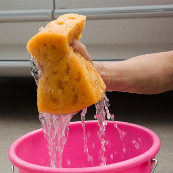 Houba na mytí auta B509 2