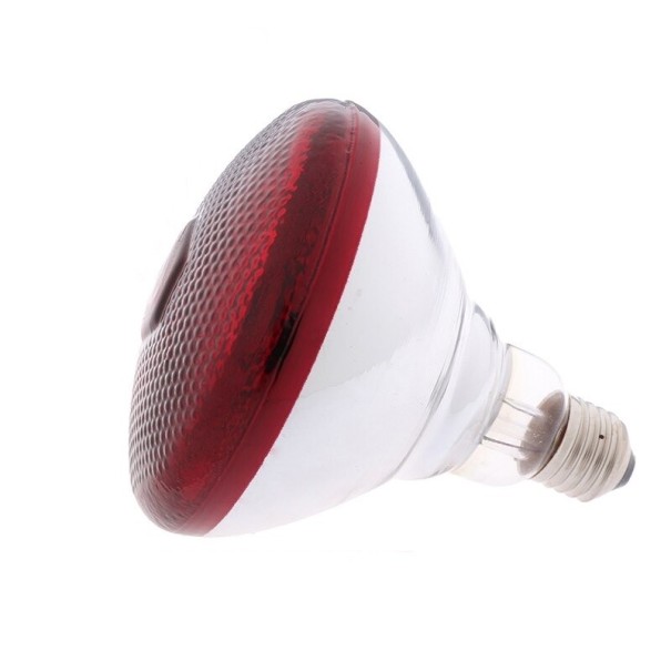 Infrarood verwarmingslamp voor terrariums en broedmachines 1