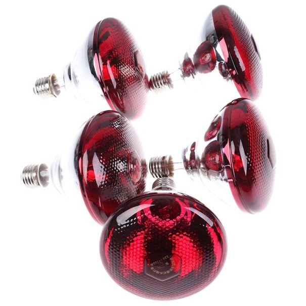 Infrarood verwarmingslamp voor terrariums en broedmachines