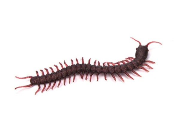 Insecte artificiale 2