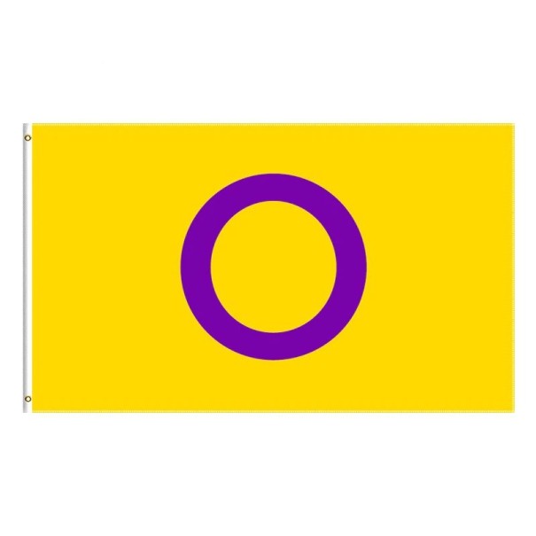 Intersexuelle Pride-Flagge 60 x 90 cm 1